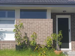 SECURITY SCREEN DOOR