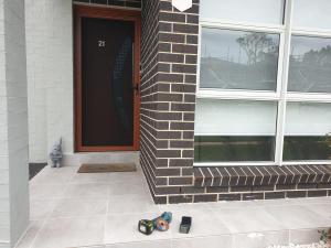 SECURITY SCREEN DOOR